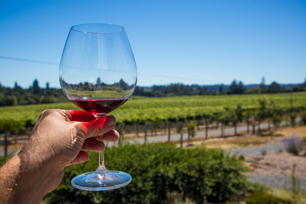 Wine glass overlooking Sonoma valley