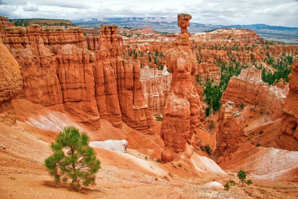 View from viewpoint of Bryce Canyon. Utah. USA.