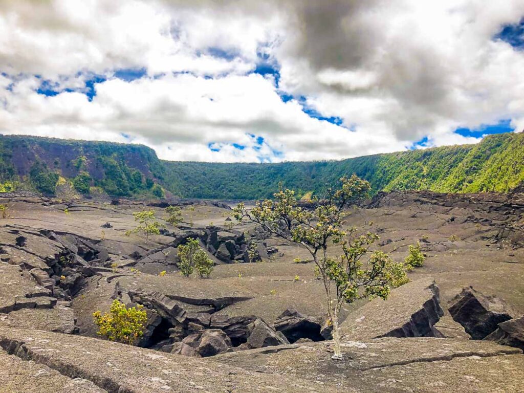 Lava Bed solidied inside crater Kīlauea Iki crater hike, a must visit on a day trip to Big Island itinerary