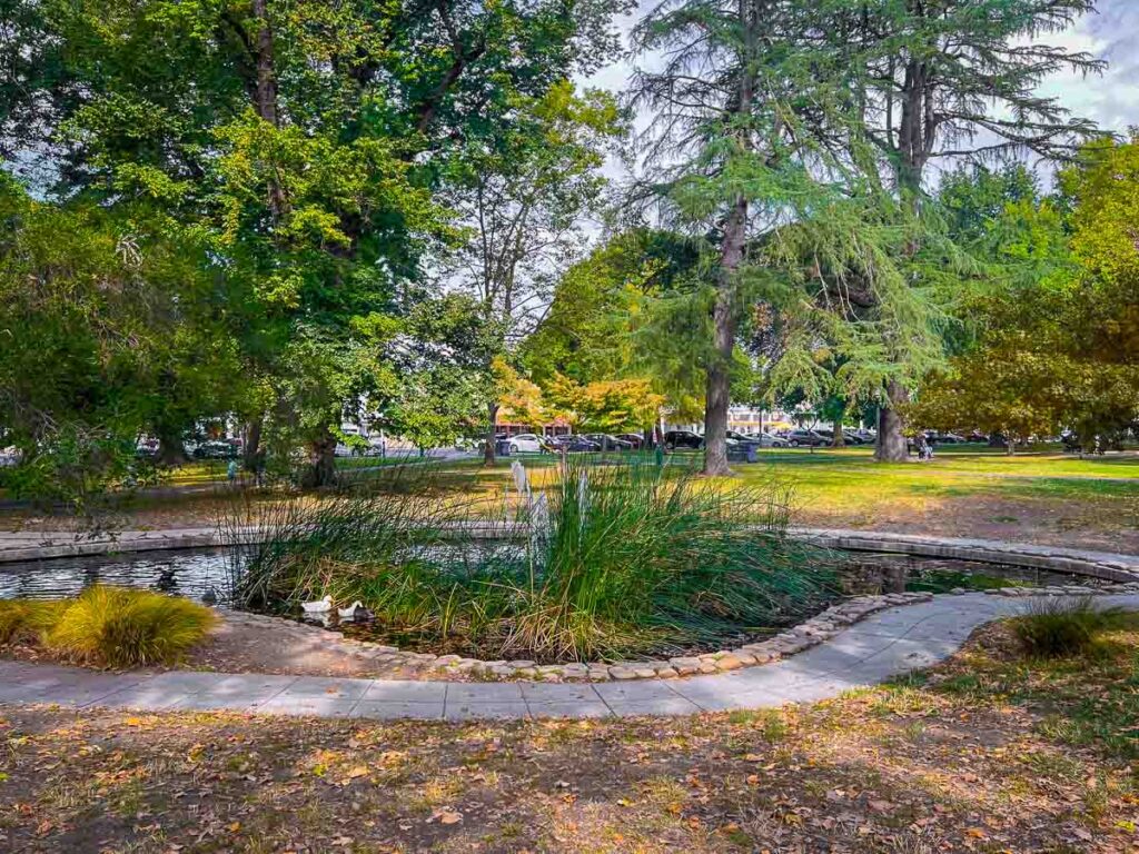 The greenery and gardens of Sonoma Plaza, the starting point for your day trip to sonoma