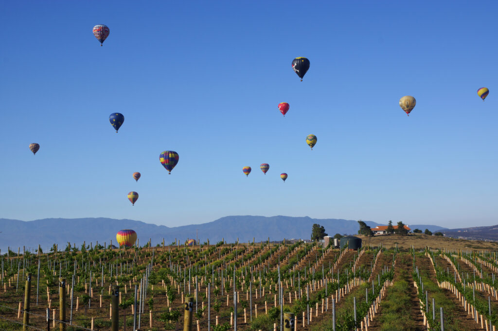 Private Hot Air Balloon Flight for the whole family