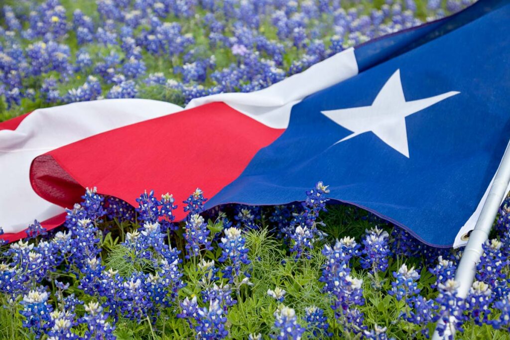 Low angle view of a Texas flags laying among bluebonnet flowers on a bright spring day in the Texas Hill Country