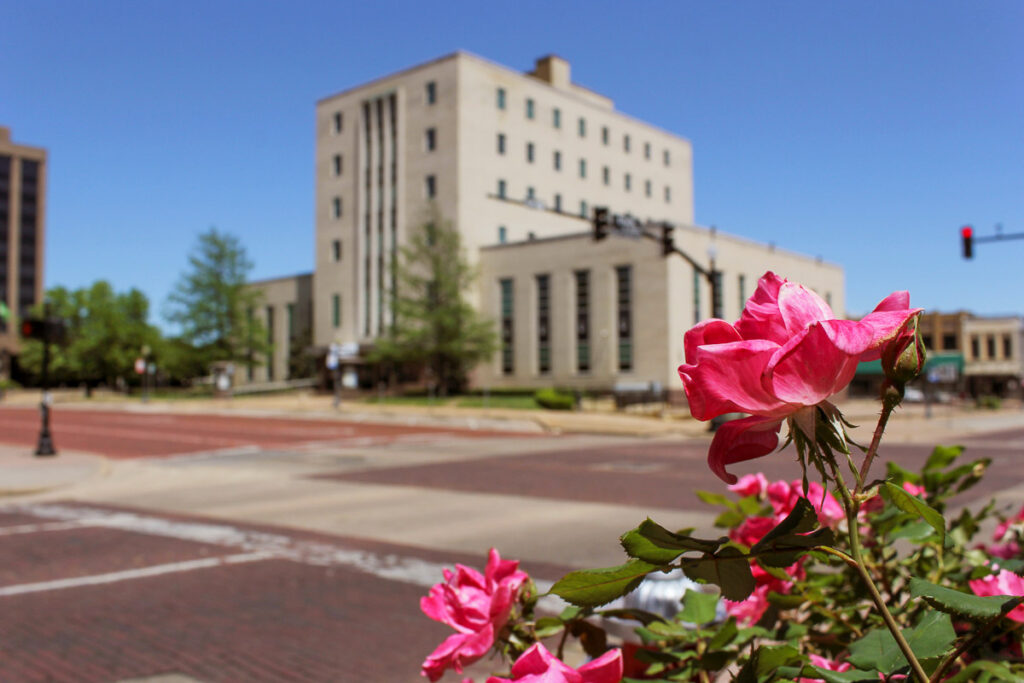 Pink Roses With Smith County Courthouse in Downtown Tyler, TX in Background
