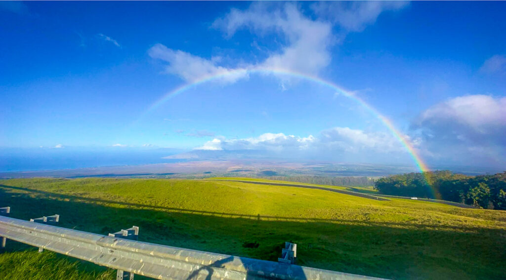 Maui roadside rainbow in green fields