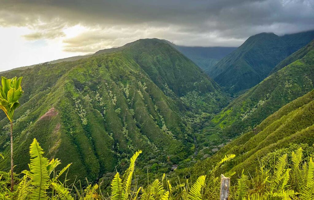 Maui Waihee Ridge Trail Hike summit view