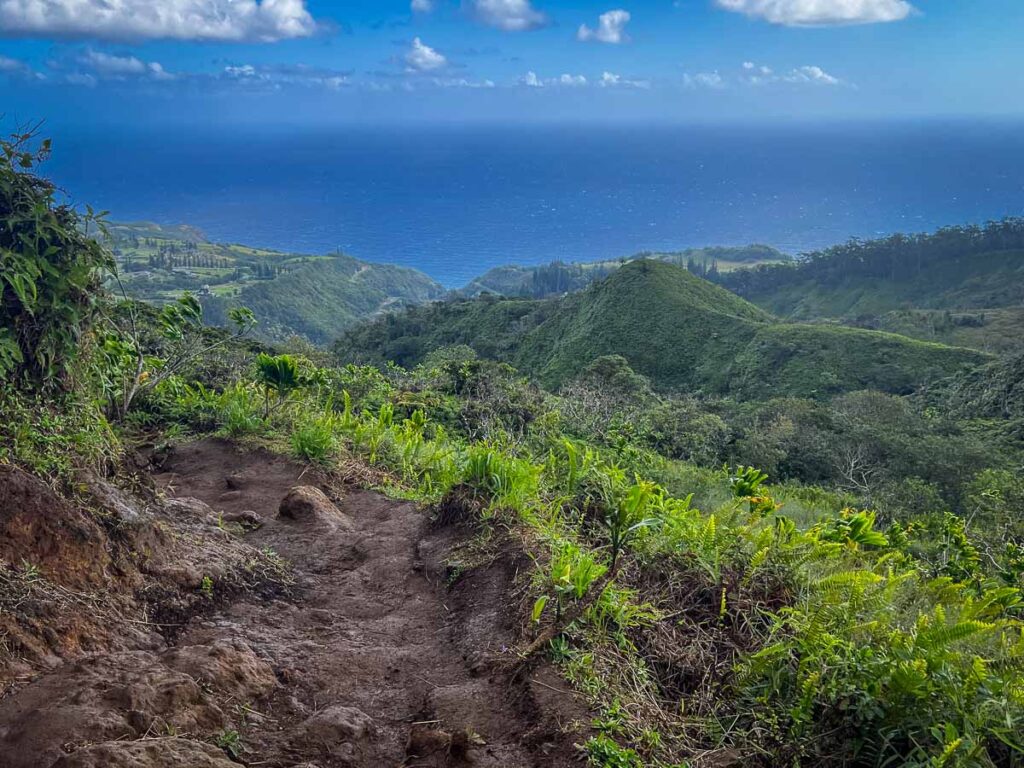 Maui Waihee Ridge Trail with scenery in the background