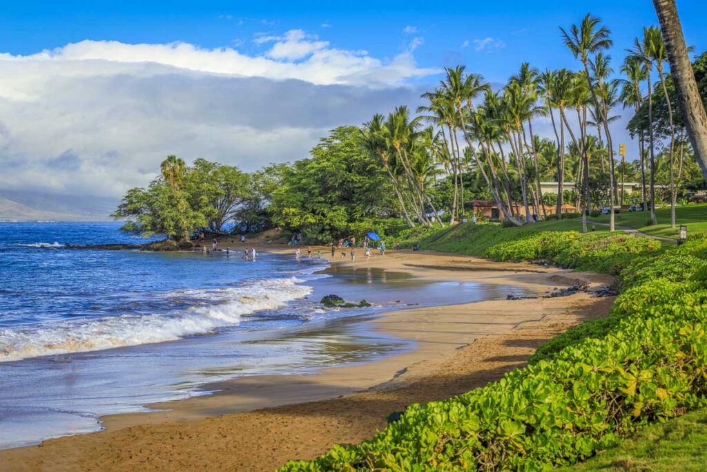 Golden sand and pam trees on Wailea Beach, Maui