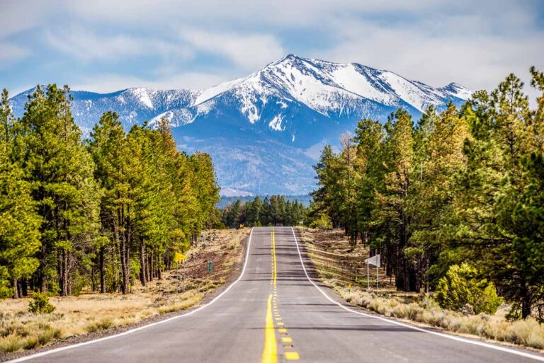 Perfect Day Trip to Flagstaff, AZ: One Day Itinerary