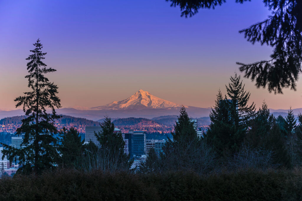 Mt Hood at Sunset with Portland City Center through the tree silhouettes