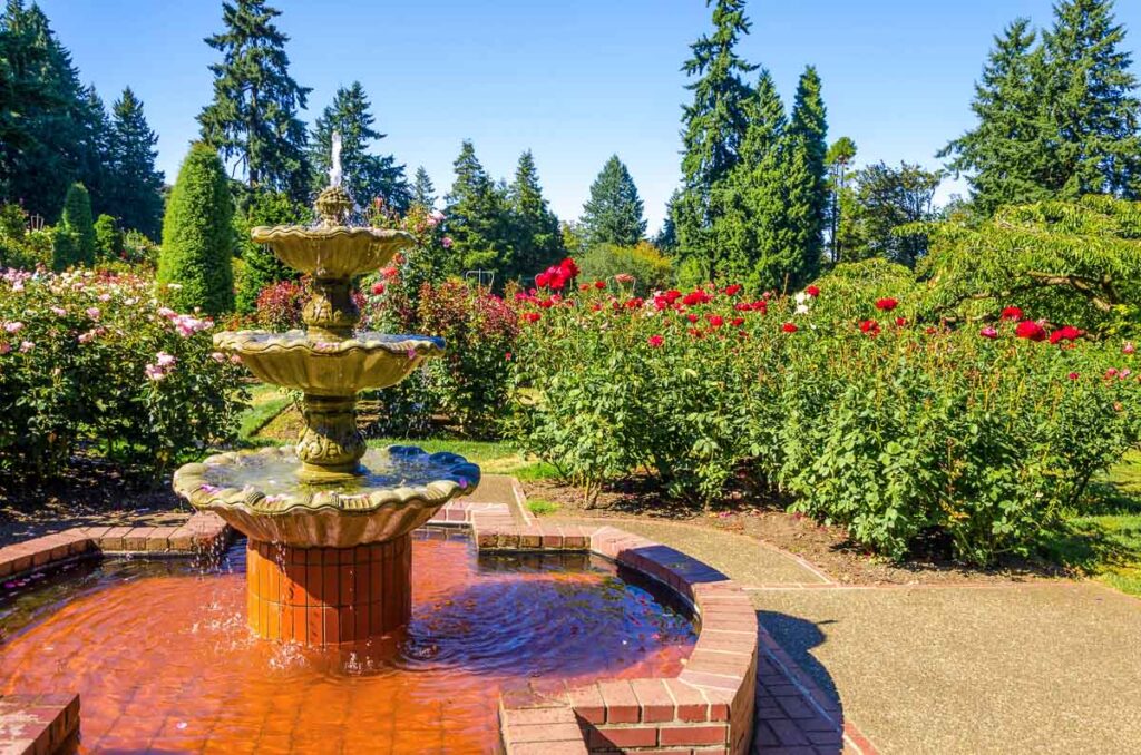 Portland Rose Garden fountain on a sunny day