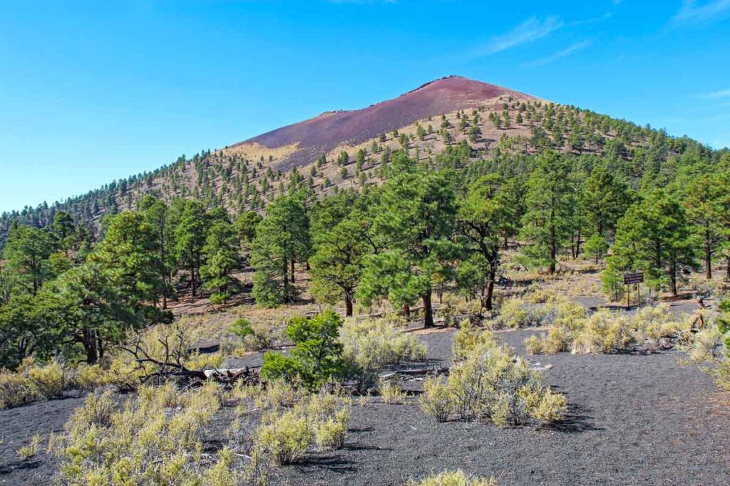 Slope of the cinder cone at Sunset Crater Volcano National Monument north of Flagstaff, Arizona