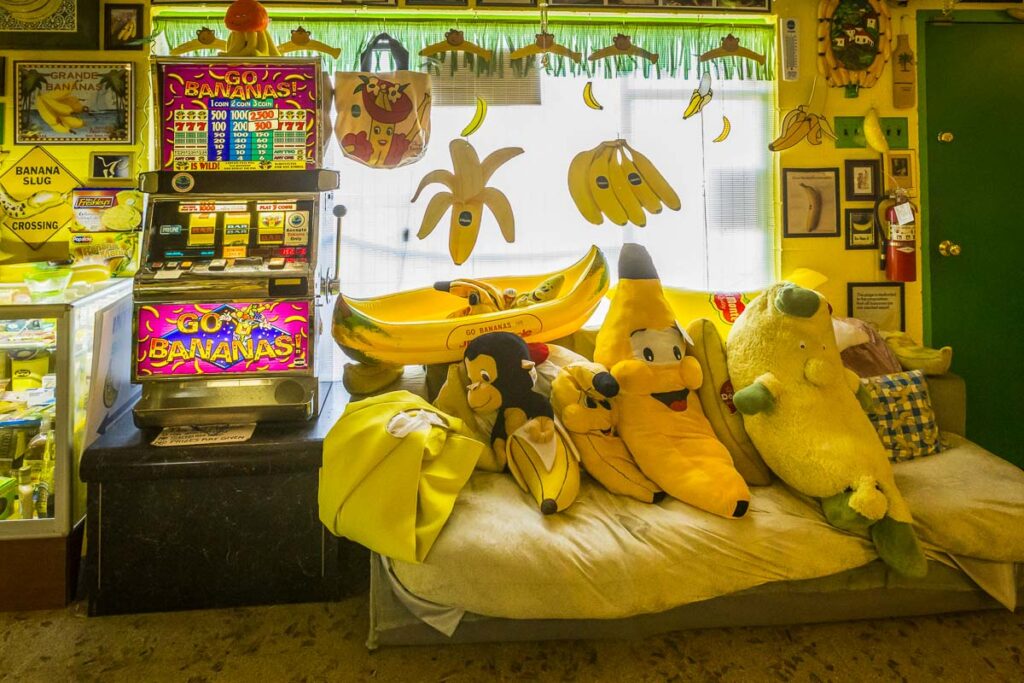 The displays of banana in the Banana Museum in Mecca