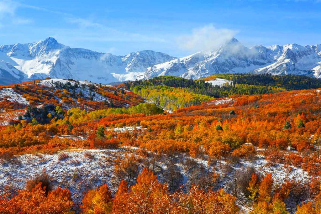 The wildflower fields on the Colorado Dallas Divide