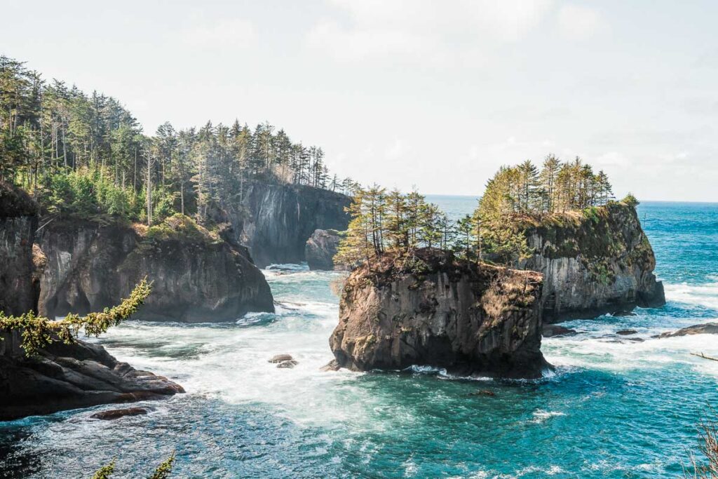 The waves crashing Cape Flattery