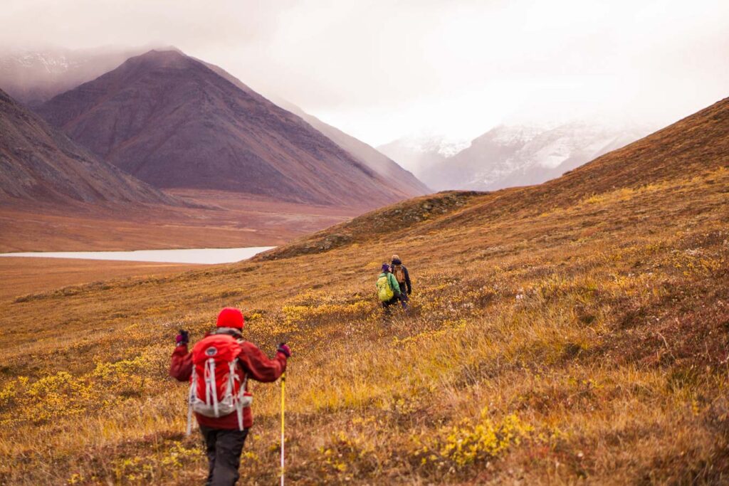 Tourists hiking in Alaska, Gates of the Arctic National Park