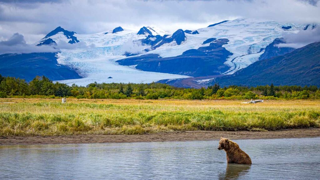 Alaska Bear Viewing on Lake Clark National Park, Alasks