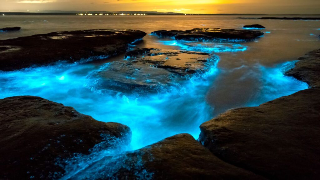 Bioluminescence Blue Waves in bay at night