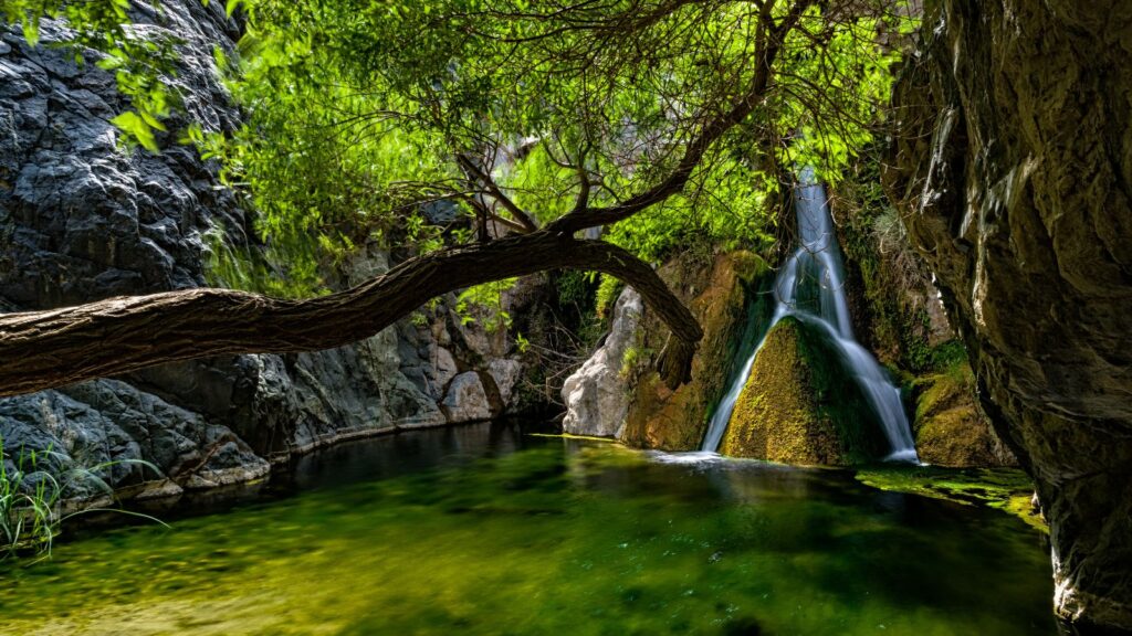 Lush canyon Darwin Falls in Death Valley 