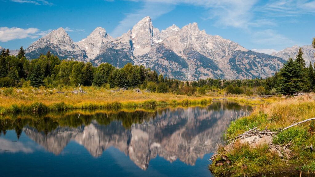 The reflection in autumn in Schwabacher's Landing, one of the best things to do in Grand Teton