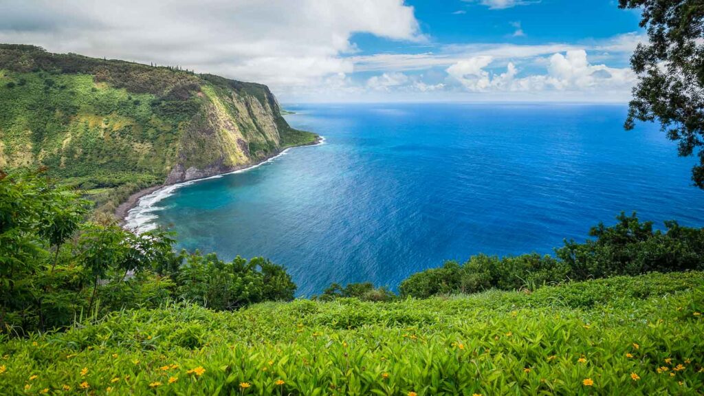 Overlook in Hawaii, Waipio Valley, Big Island