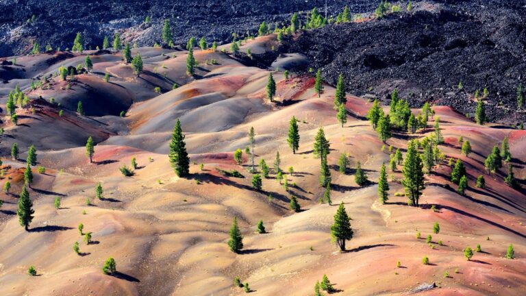 Don’t Miss These 12 Explosive Things to Do in Lassen Volcanic for First-Timers