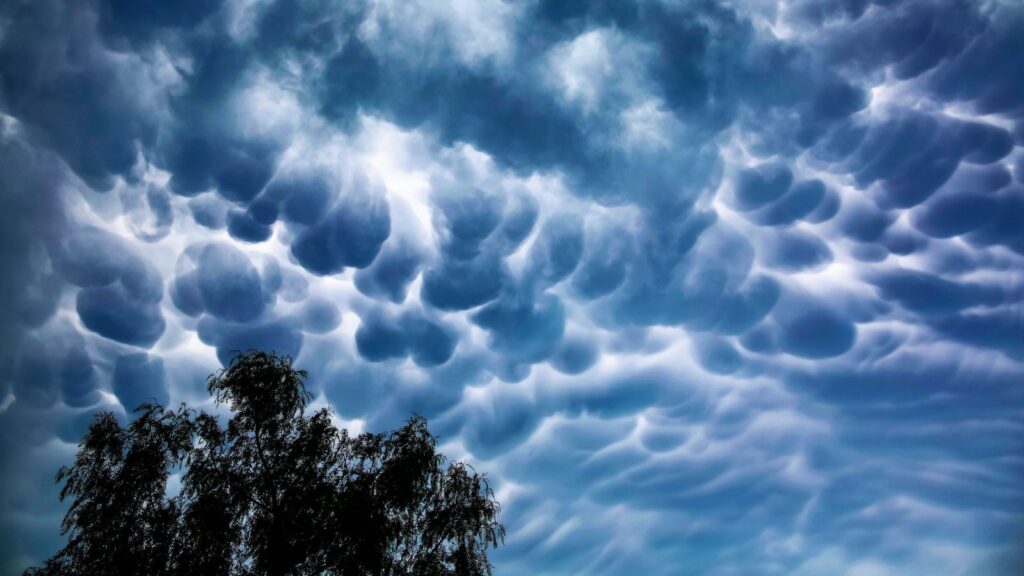 cellular pattern of Mammatus Clouds in blue