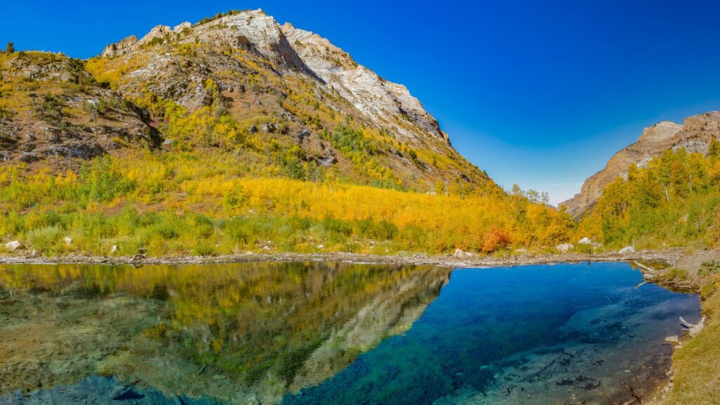 Water reflections of Nevada, Colorful Aspens in Lamoille Canyon of the Ruby Mountains