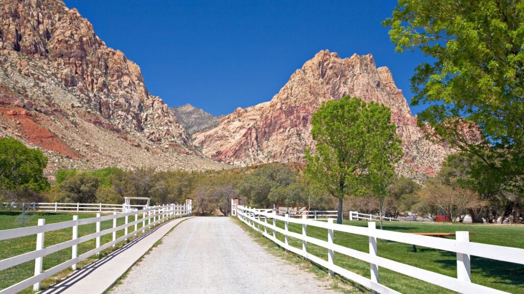 Scenic view of Spring Mountain Ranch State Park