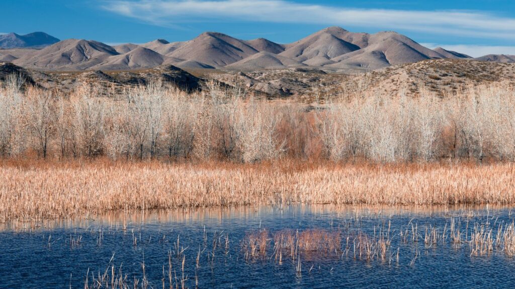 picturesque view of Bosque del Apache Lake, New Mexico