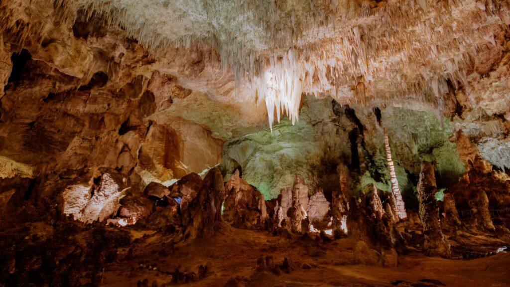 The formations inside the big room in Carlsbad Caverns