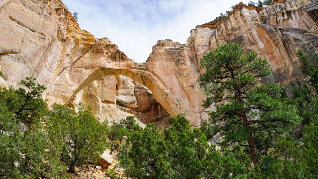 volcanic landscape of El Malpais National Monument in New Mexico