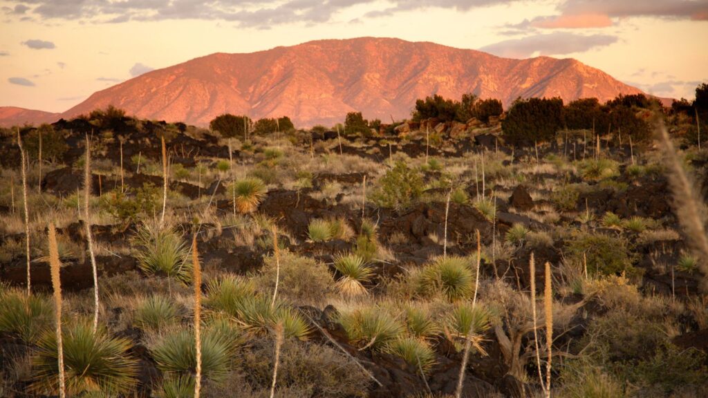 nature trail greenfield in Valley of Fires Recreation Area