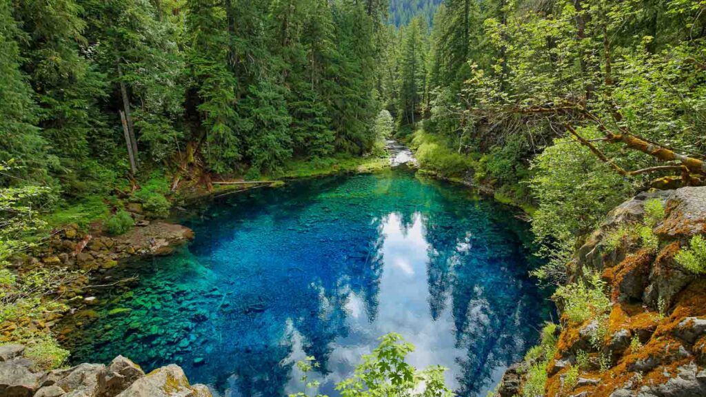 The blue water in Oregon Tamolitch Blue Pool