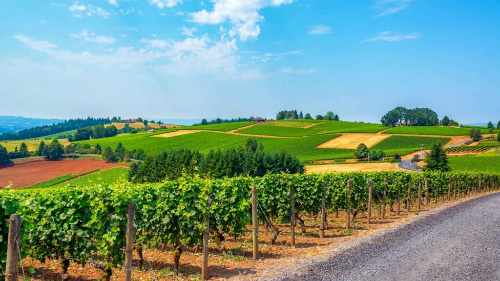 Rolling hills in Oregon, Willamette Valley Wine Country