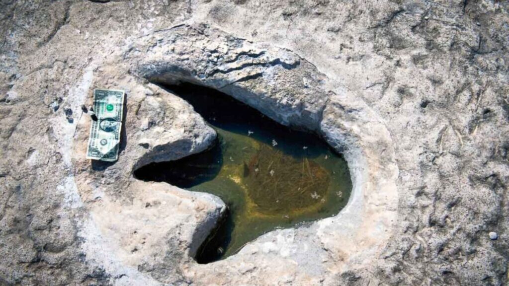 Dinosaur Valley State Park in Glen Rose,Texas showing Dino tracks over 100 million years old.