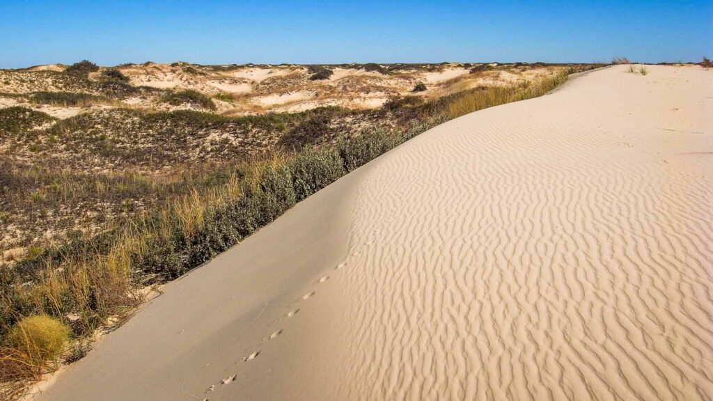 The sand dunes at Monahans Sandhills Dune park, Texas