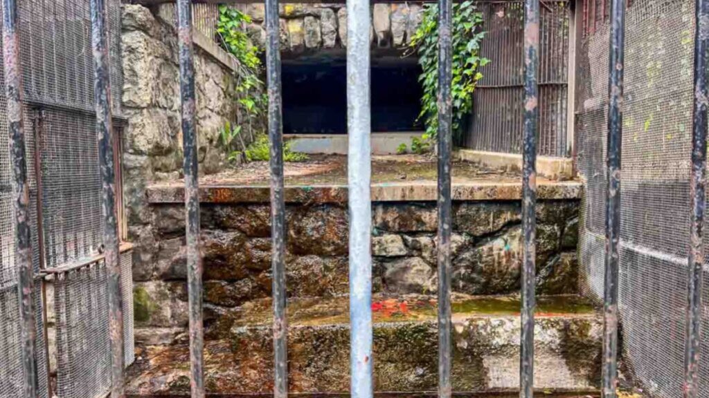 The cages of an old abandoned zoo