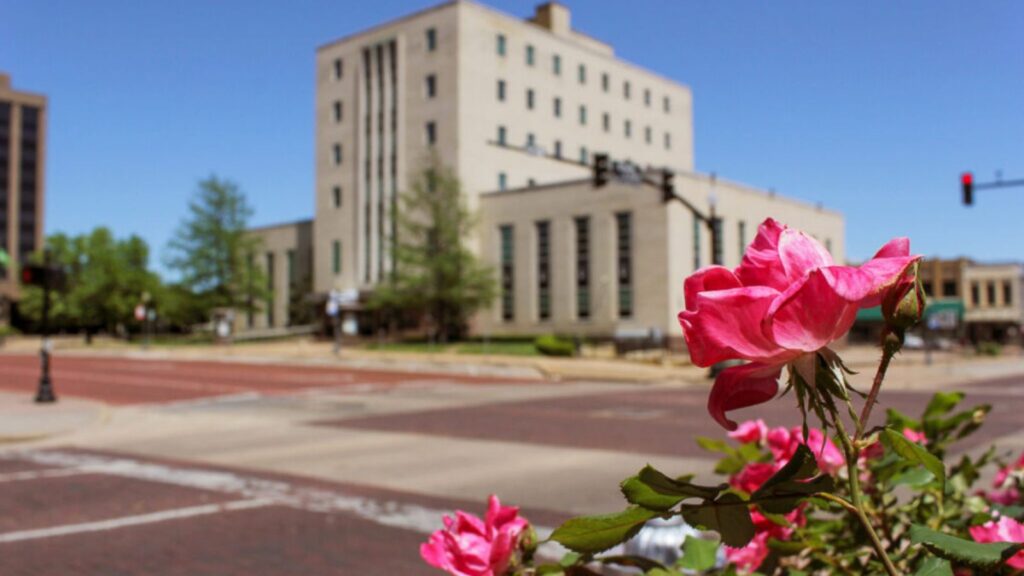 Pink Roses With Smith County Courthouse in Downtown Tyler, TX in Background