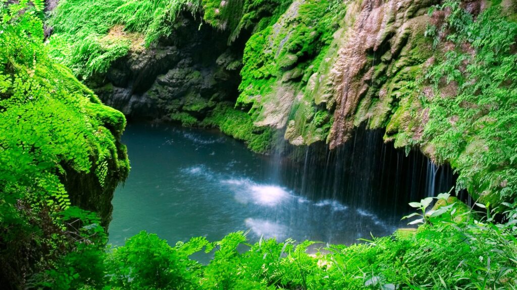 Waterfall in Texas, Westcave Outdoor Discovery Center