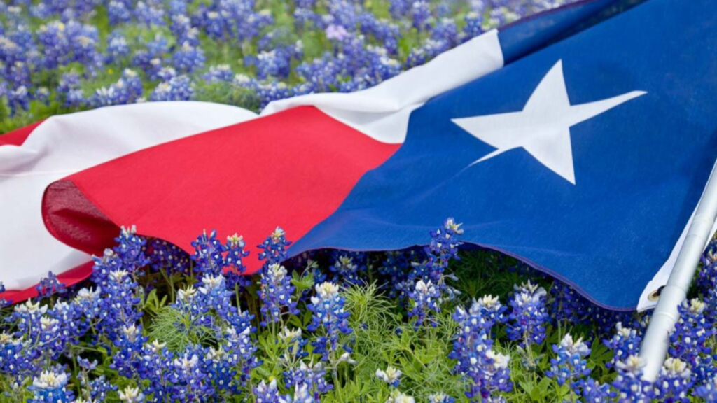 Low angle view of a Texas flags laying among bluebonnet flowers on a bright spring day in the Texas Hill Country