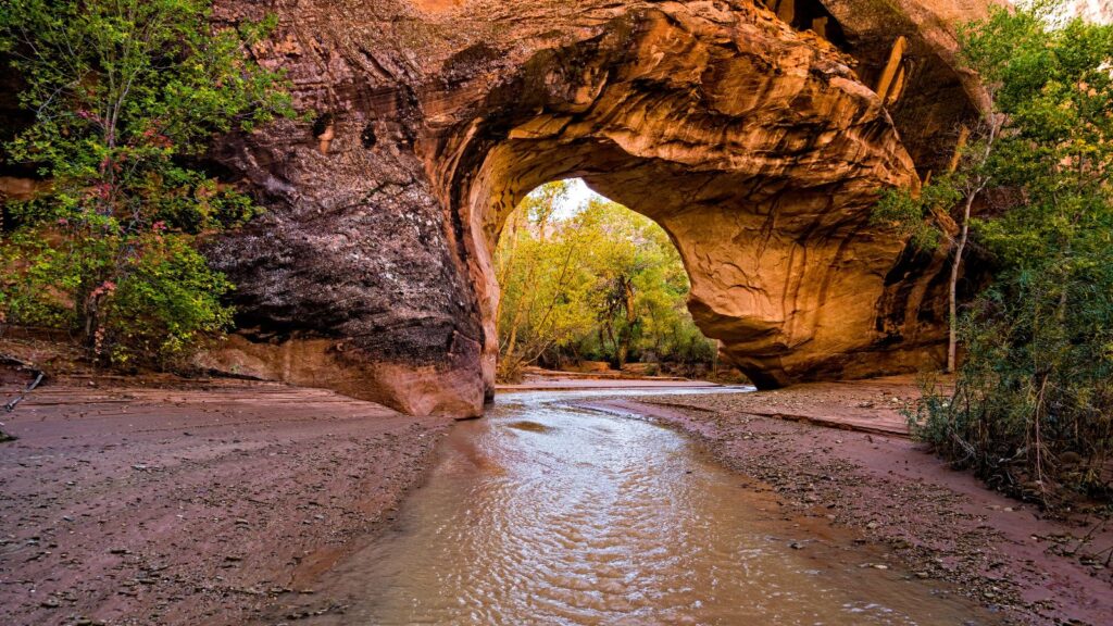 Scenic Coyote Natural Bridge in Utah