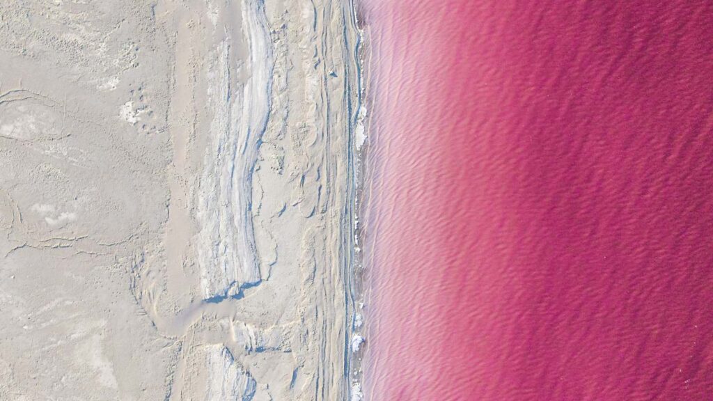 the great pink salt lake in Utah