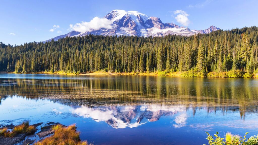 Mount Rainier National Park, Ashford under the blue sky