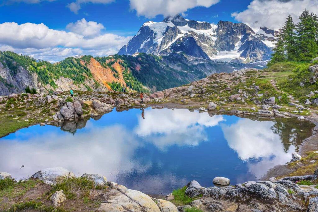 Hikers Mount Shuksan Pool Reflection Summer Artist Point Mount Baker Highway Pacific Northwest Washington State Snow Mountain Grass Trees