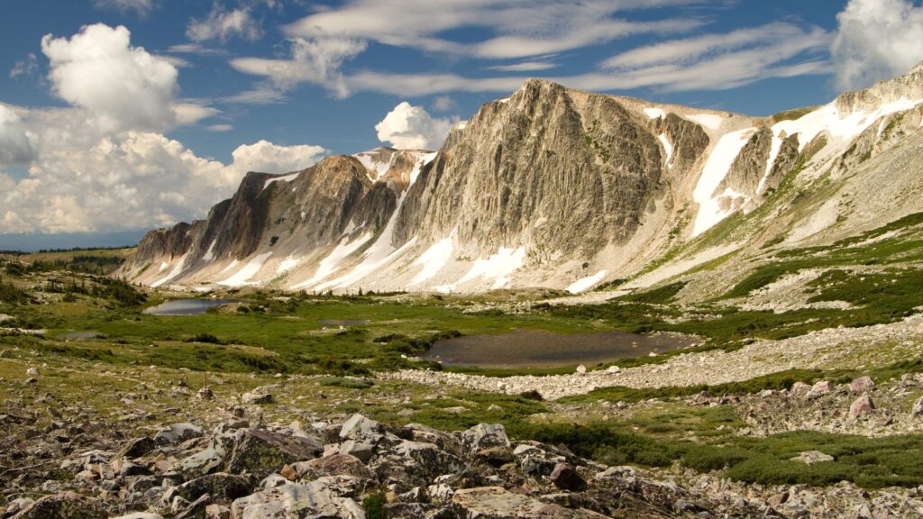 blue sky over the Medicine Bow National Forest 