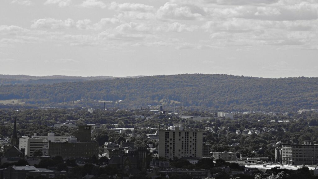 Duotone Aerial View of Binghamton, NY