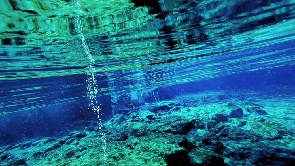 Florida, Ginnie Springs Underwater