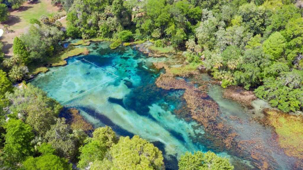 Turquoise waters of the fresh water springs of Rainbow River Florida aerial