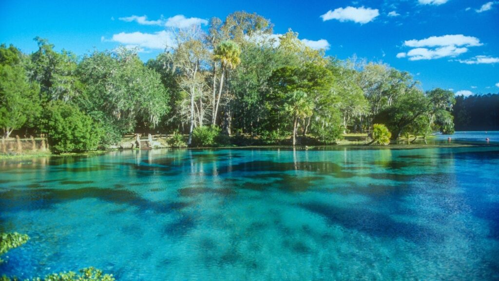 Turquoise waters of Florida, Silver Glen Springs in Ocala National Forest