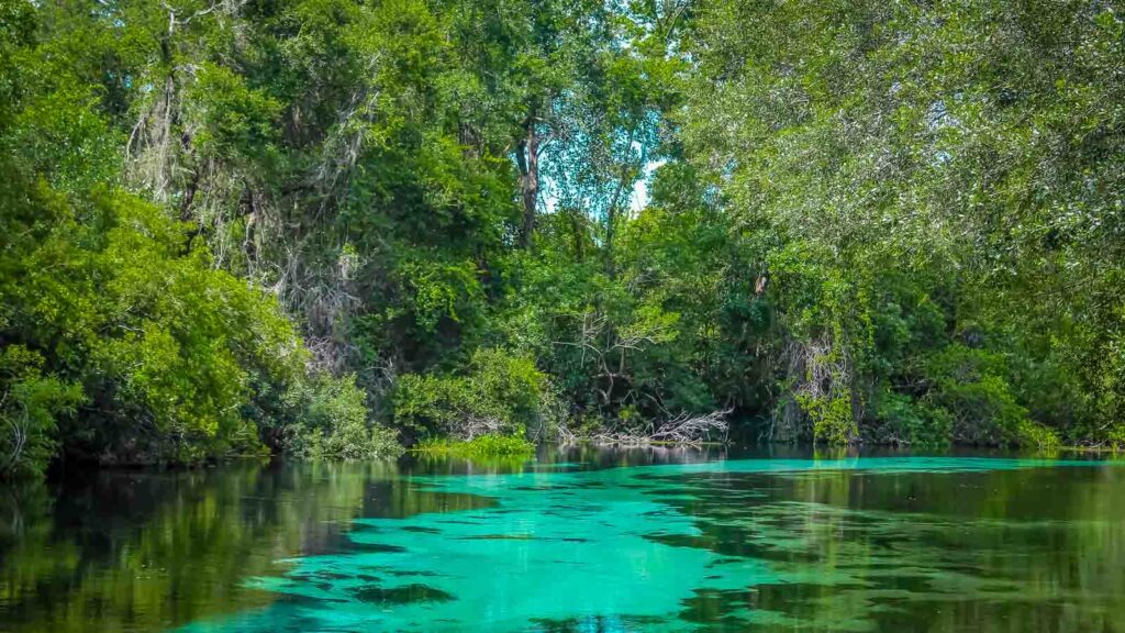 Weeki Wachee Springs River with blues and greens